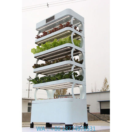 Smart Home System - Systemy hydroponiczne do uprawy w domu,