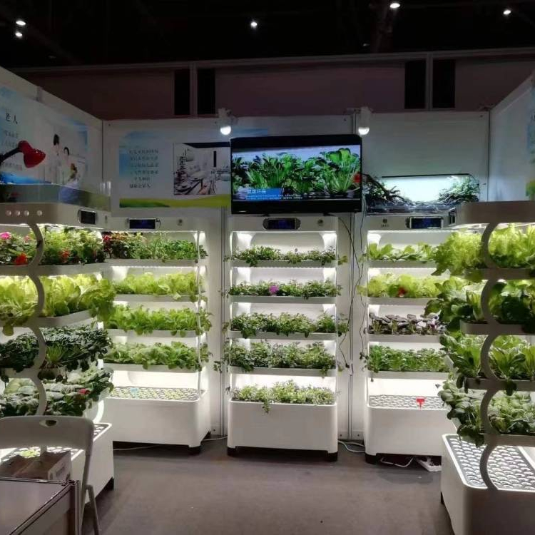 Inteligentny system hydroponic – Smart Home System recenzja i cena