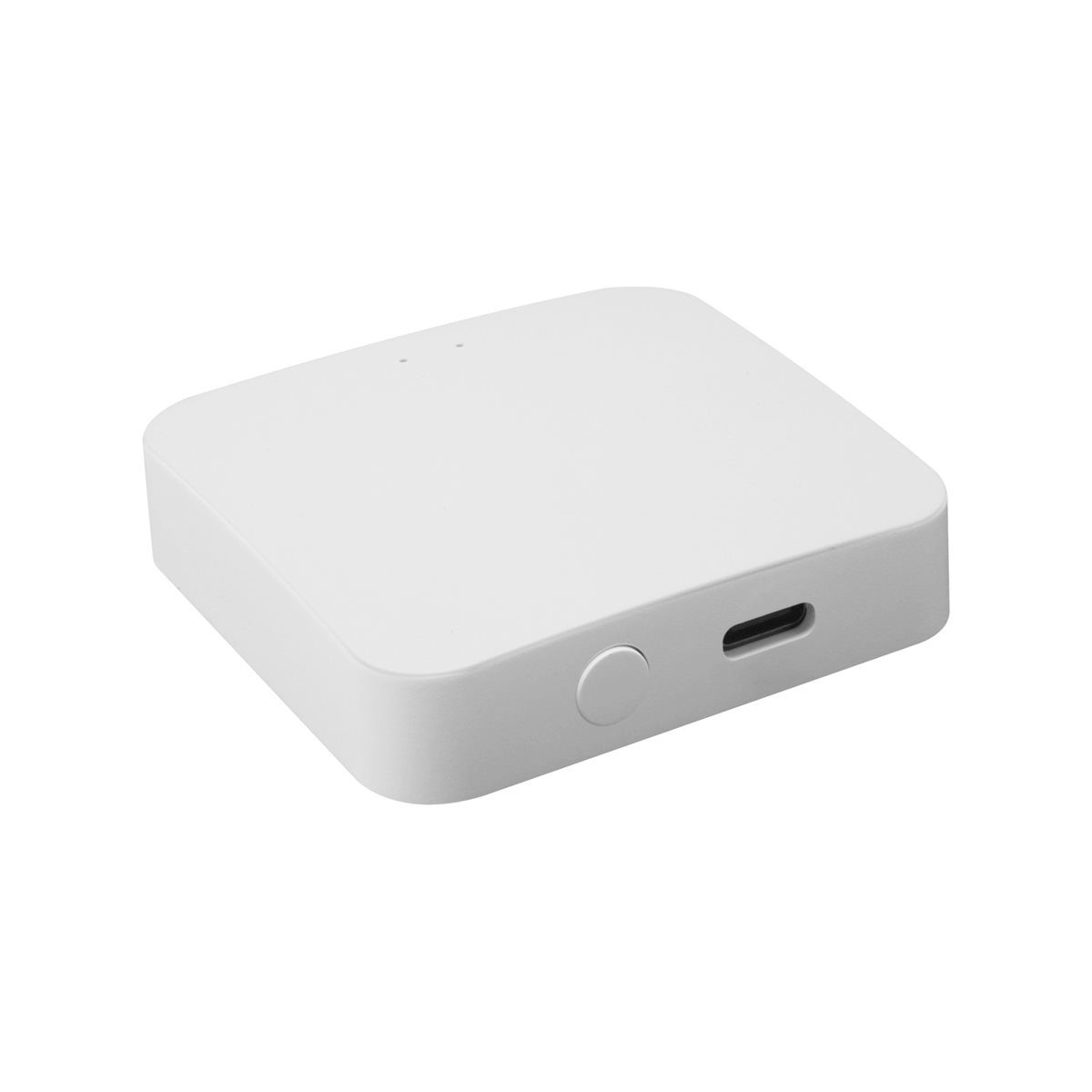 DT81 Bezprzewodowa bramka wiel – Smart Home Hub Device recenzja i cena